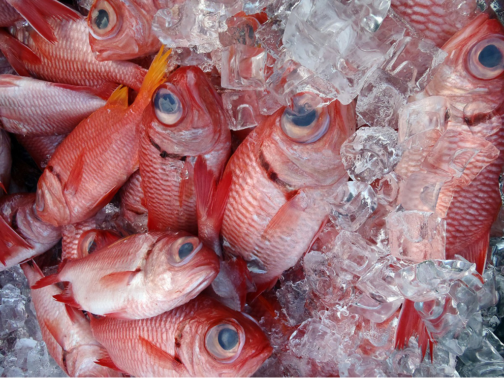 We are Flynns Limited